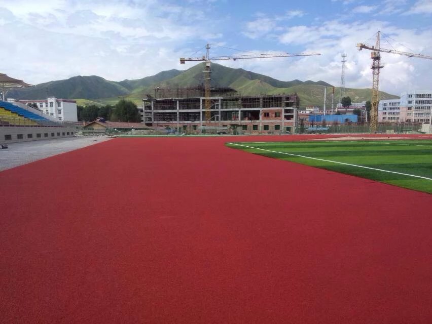 甘肃甘南藏族自治州碌曲县体育中心